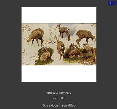 【法国】罗莎·博纳尔（Rosa Bonheur）