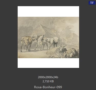 【法国】罗莎·博纳尔（Rosa Bonheur）