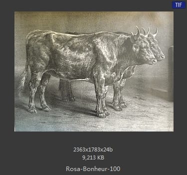 【法国】罗莎·博纳尔（Rosa Bonheur）