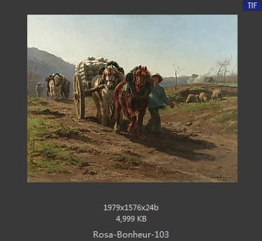 【法国】罗莎·博纳尔（Rosa Bonheur）