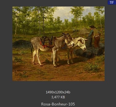 【法国】罗莎·博纳尔（Rosa Bonheur）