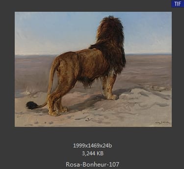 【法国】罗莎·博纳尔（Rosa Bonheur）