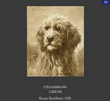 【法国】罗莎·博纳尔（Rosa Bonheur）