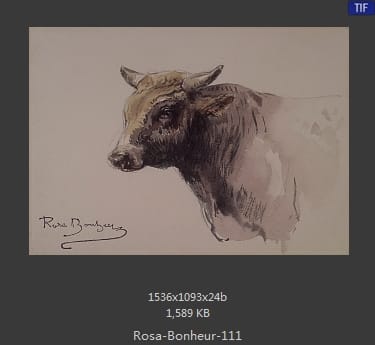 【法国】罗莎·博纳尔（Rosa Bonheur）