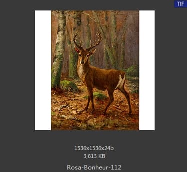 【法国】罗莎·博纳尔（Rosa Bonheur）