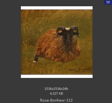 【法国】罗莎·博纳尔（Rosa Bonheur）
