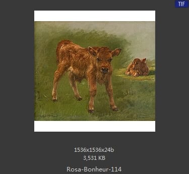 【法国】罗莎·博纳尔（Rosa Bonheur）