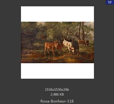 【法国】罗莎·博纳尔（Rosa Bonheur）