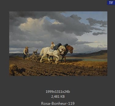 【法国】罗莎·博纳尔（Rosa Bonheur）