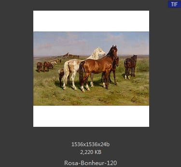 【法国】罗莎·博纳尔（Rosa Bonheur）
