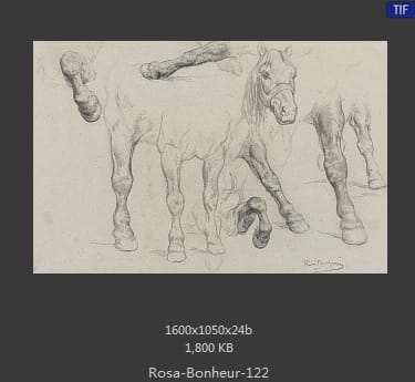【法国】罗莎·博纳尔（Rosa Bonheur）