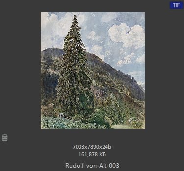 鲁道夫·里特尔·冯·奥特（rudolf ritter von alt）