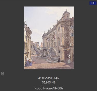 鲁道夫·里特尔·冯·奥特（rudolf ritter von alt）