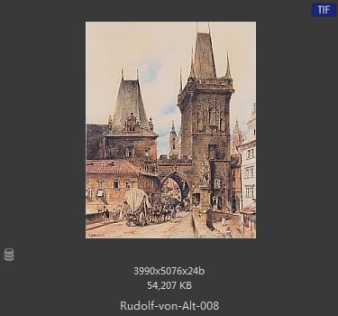 鲁道夫·里特尔·冯·奥特（rudolf ritter von alt）