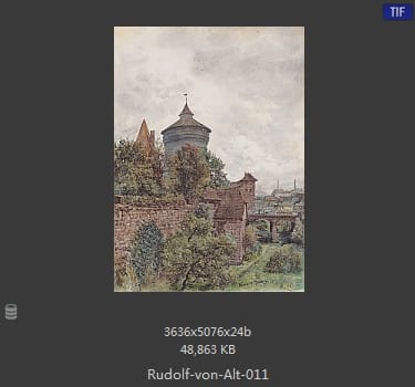 鲁道夫·里特尔·冯·奥特（rudolf ritter von alt）