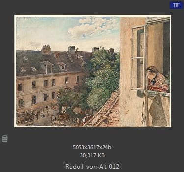 鲁道夫·里特尔·冯·奥特（rudolf ritter von alt）