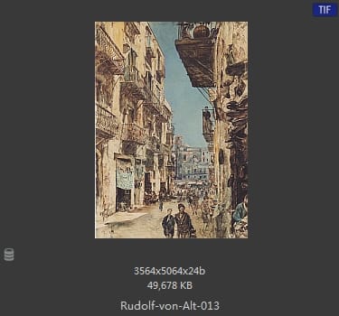 鲁道夫·里特尔·冯·奥特（rudolf ritter von alt）