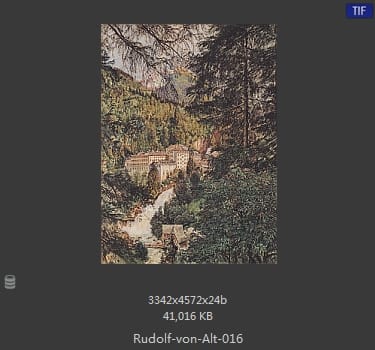 鲁道夫·里特尔·冯·奥特（rudolf ritter von alt）