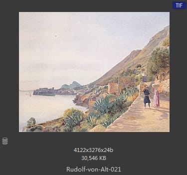 鲁道夫·里特尔·冯·奥特（rudolf ritter von alt）