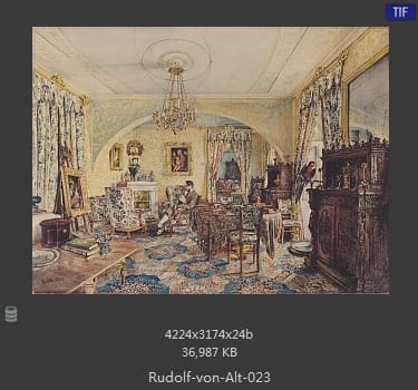 鲁道夫·里特尔·冯·奥特（rudolf ritter von alt）