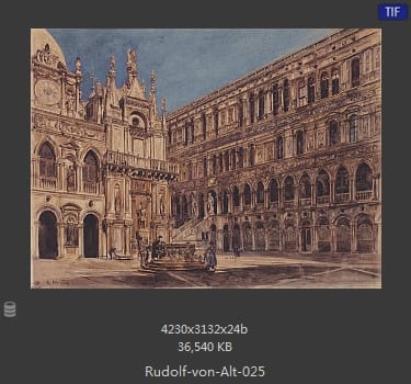 鲁道夫·里特尔·冯·奥特（rudolf ritter von alt）