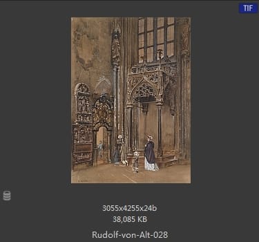 鲁道夫·里特尔·冯·奥特（rudolf ritter von alt）