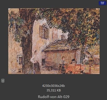 鲁道夫·里特尔·冯·奥特（rudolf ritter von alt）