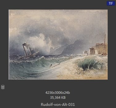 鲁道夫·里特尔·冯·奥特（rudolf ritter von alt）