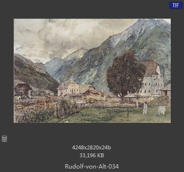 鲁道夫·里特尔·冯·奥特（rudolf ritter von alt）