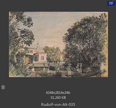 鲁道夫·里特尔·冯·奥特（rudolf ritter von alt）