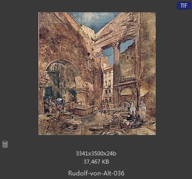 鲁道夫·里特尔·冯·奥特（rudolf ritter von alt）