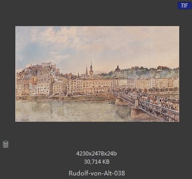 鲁道夫·里特尔·冯·奥特（rudolf ritter von alt）