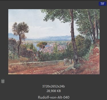 鲁道夫·里特尔·冯·奥特（rudolf ritter von alt）