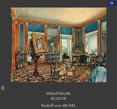 鲁道夫·里特尔·冯·奥特（rudolf ritter von alt）