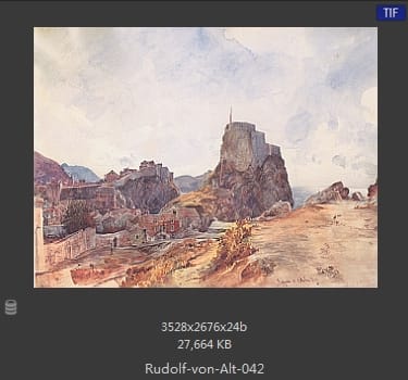 鲁道夫·里特尔·冯·奥特（rudolf ritter von alt）
