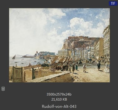 鲁道夫·里特尔·冯·奥特（rudolf ritter von alt）