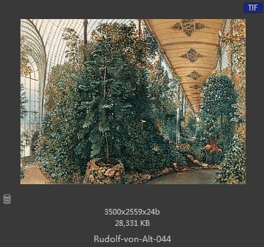 鲁道夫·里特尔·冯·奥特（rudolf ritter von alt）