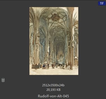 鲁道夫·里特尔·冯·奥特（rudolf ritter von alt）