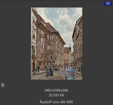 鲁道夫·里特尔·冯·奥特（rudolf ritter von alt）