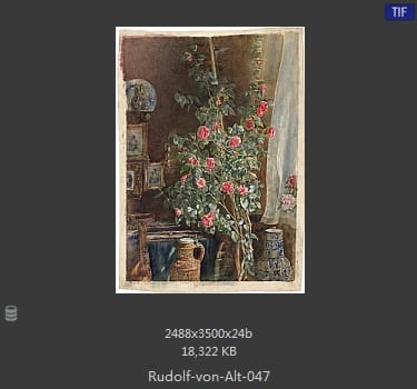 鲁道夫·里特尔·冯·奥特（rudolf ritter von alt）