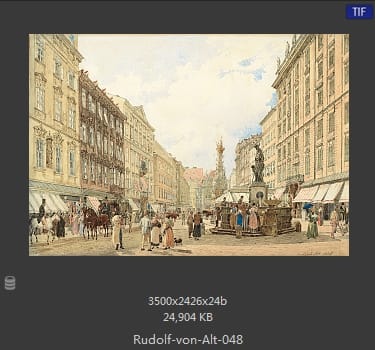 鲁道夫·里特尔·冯·奥特（rudolf ritter von alt）