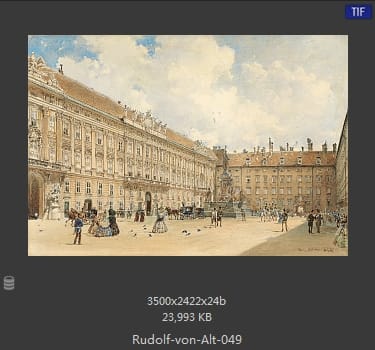 鲁道夫·里特尔·冯·奥特（rudolf ritter von alt）