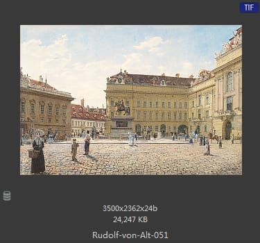 鲁道夫·里特尔·冯·奥特（rudolf ritter von alt）