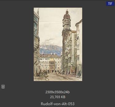 鲁道夫·里特尔·冯·奥特（rudolf ritter von alt）
