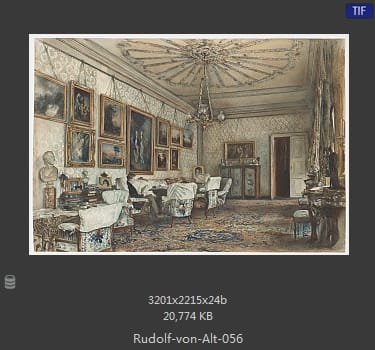 鲁道夫·里特尔·冯·奥特（rudolf ritter von alt）