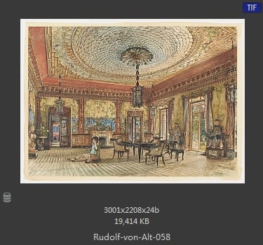 鲁道夫·里特尔·冯·奥特（rudolf ritter von alt）