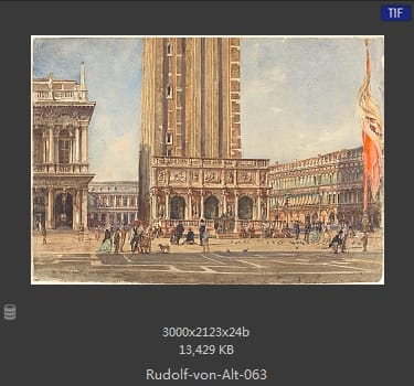 鲁道夫·里特尔·冯·奥特（rudolf ritter von alt）