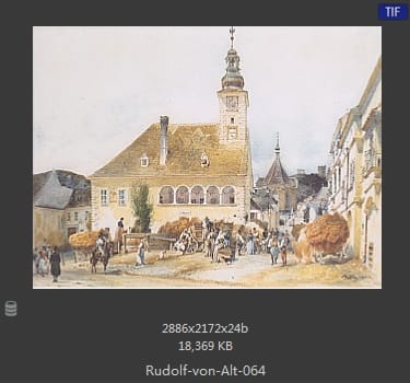 鲁道夫·里特尔·冯·奥特（rudolf ritter von alt）