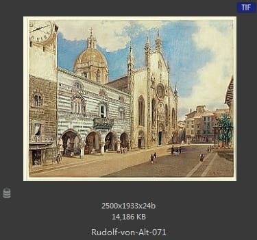 鲁道夫·里特尔·冯·奥特（rudolf ritter von alt）