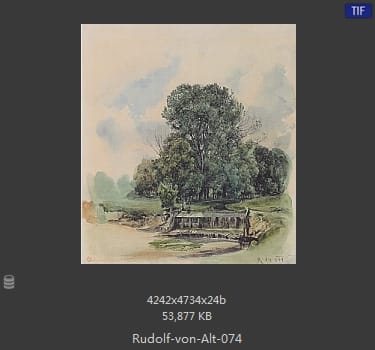 鲁道夫·里特尔·冯·奥特（rudolf ritter von alt）